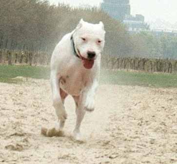 moi en pleine effort 