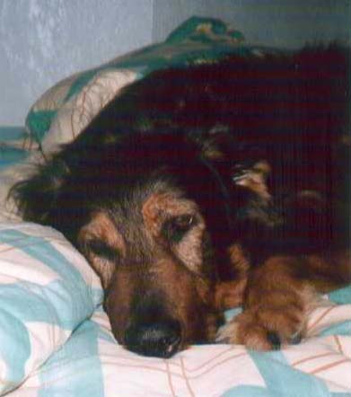 15 ans