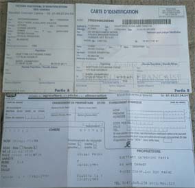 CARTES DE PUCAGE ET DE TATOUAGE 