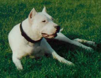 2 ans 1/2, chute pas d'bruit, j'coute !!