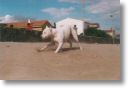 1 an, doucement le sable dans les n'oeils !!