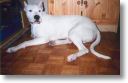 Paco mon frre 9 mois