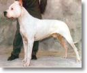 Huano de El Tumi