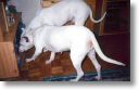 Maman et Paco 
